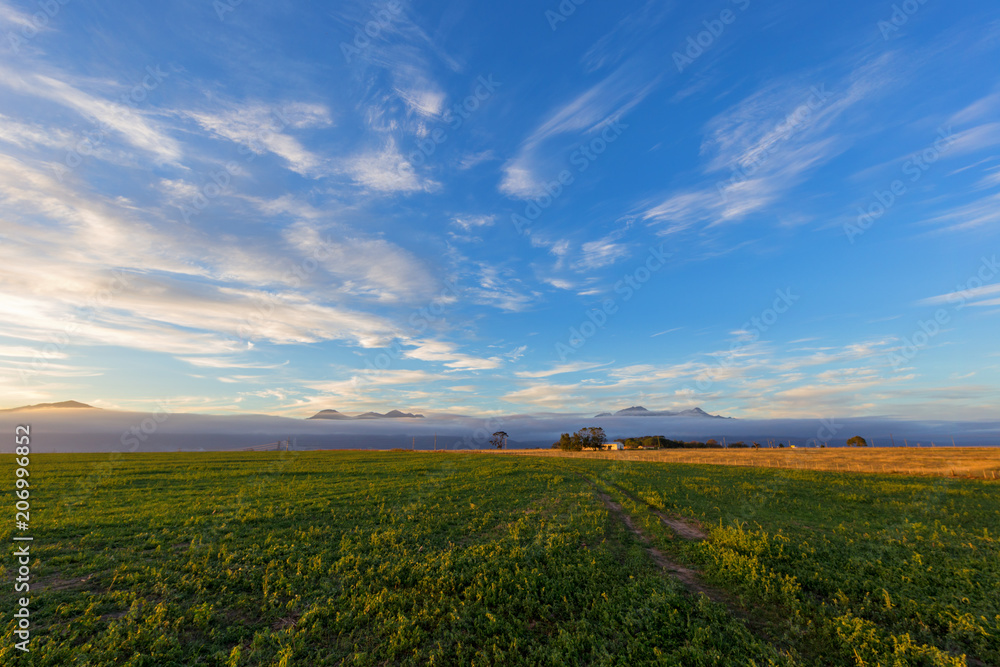 Fototapeta premium sunset over farmlands
