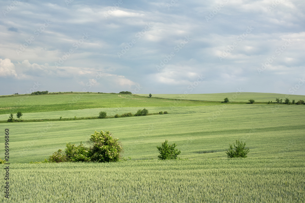 Vitkovska vrchovina, near Ostrava, Silesia, Czech Republic / Czechia - harmonious landscape and countryside. Wavy and undulating  fields and meadows, horizon and stormy clouds on the sky
