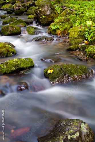 Waterfall in a forest with trees, stones and leaves on a front