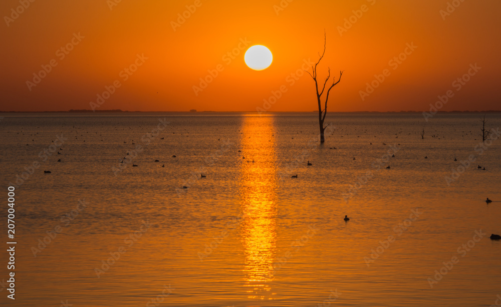 Puesta de sol Puesta de sol