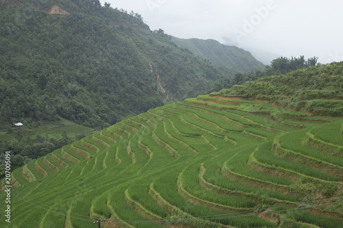 rice fields and mountains around Sapa in Vietnam
