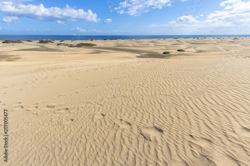 Maspalomas Sand Dune Desert  Grand Canaria