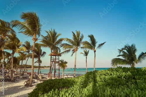 View at luxury resort hotel beach of tropical coast. Place of lifeguard. Leaves of coconut palms fluttering in wind against blue sky. Turquoise water of Caribbean Sea. Riviera Maya Mexico.