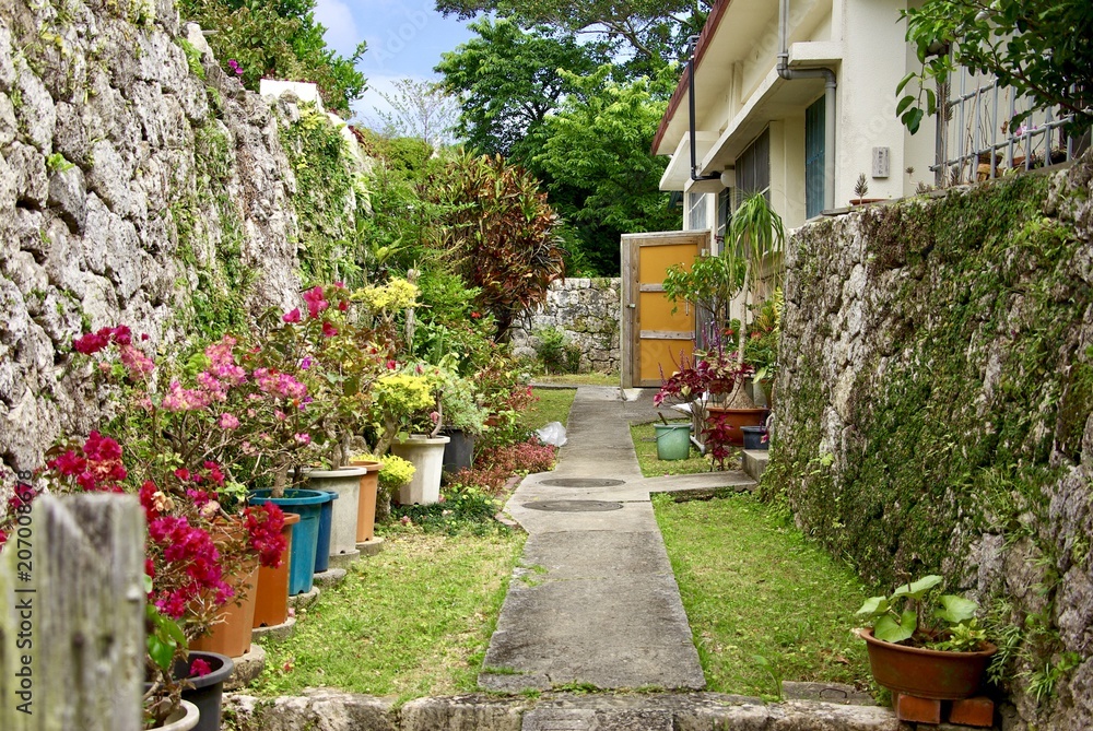 琉球家屋の庭
