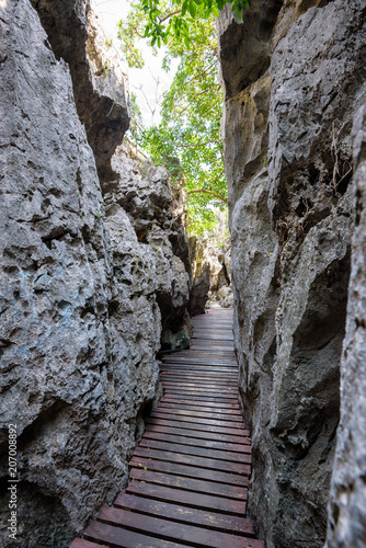 Vászonkép Wooden bridge in the narrow gorge is a walking trail for nature tourism at Thale