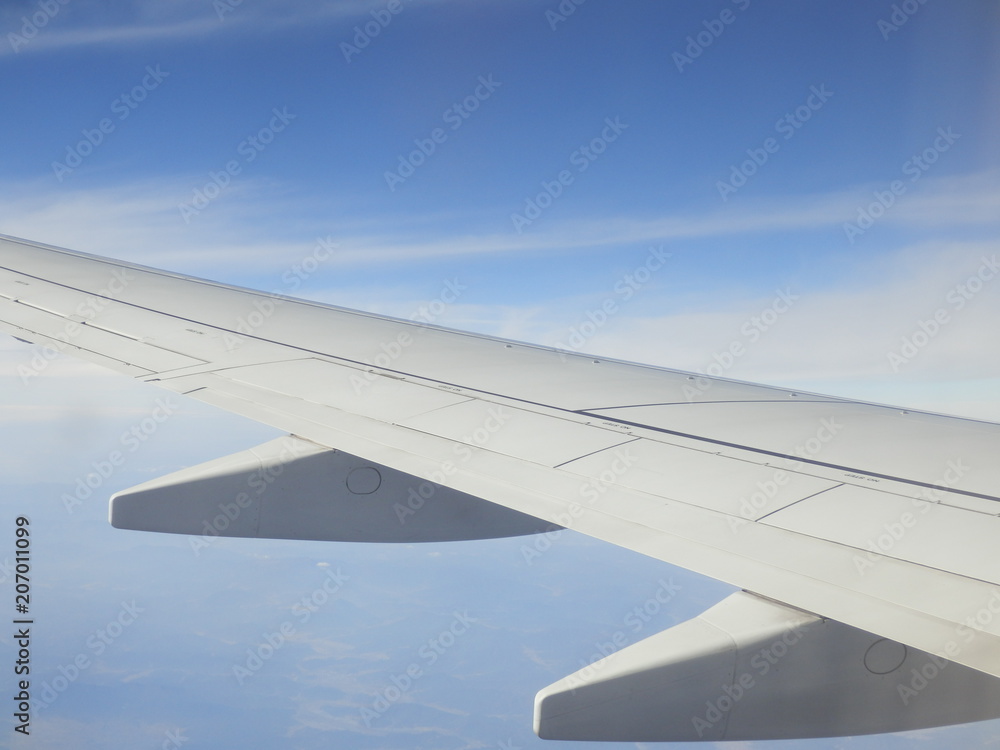 Fototapeta premium 飛行機の翼と青空