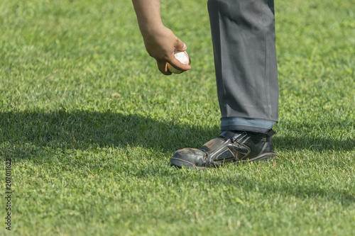 Plate Umpire picking up the Baseball ball from the ground