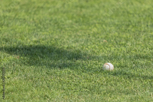 Baseball ball in the grass.