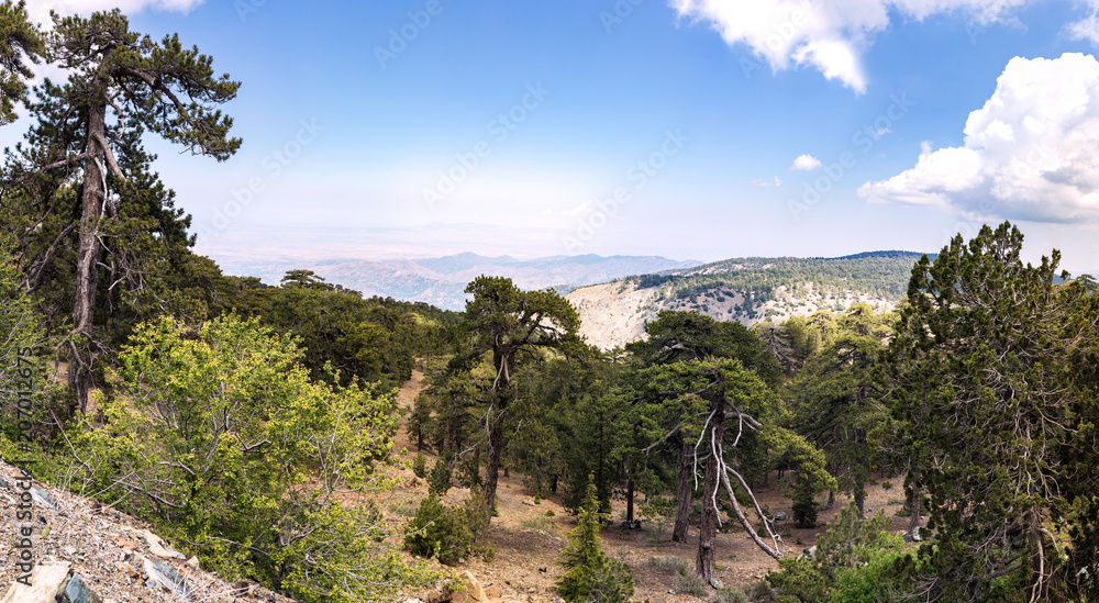 Горы Троодас. Панорамный вид с горы Олимп (самая высокая точка Кипра)