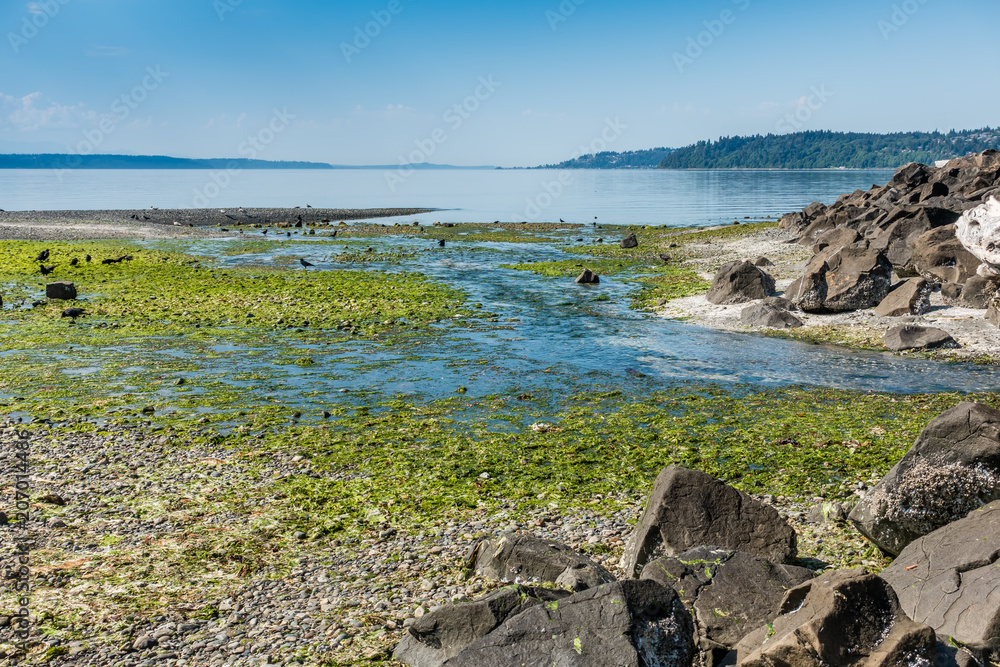 Stream And Puget Sound 2