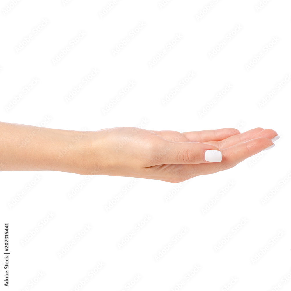 Empty open woman hand on white background isolation Empty open woman hand on white background isolation