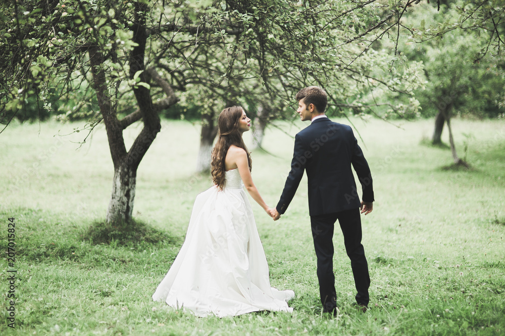 Wedding couple bride and groom holding hands