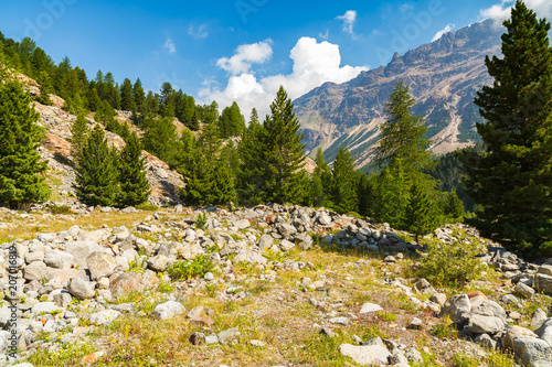 фотографія Swiss Mountains