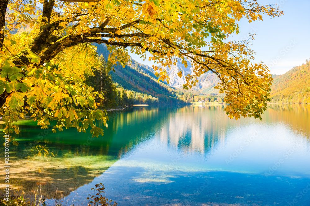 Yellow autumn trees on the shore of lake in Austrian Alps