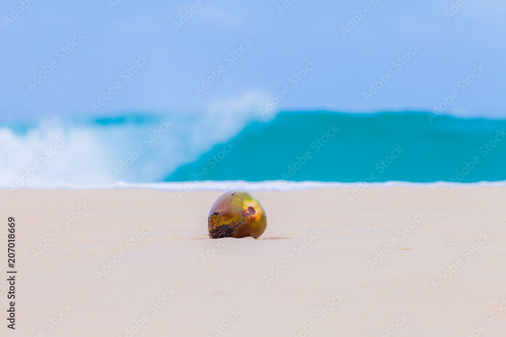Obraz premium green coconut on Nai Harn beach. in rainy season always have big wave in Naiharn beach good for surfing