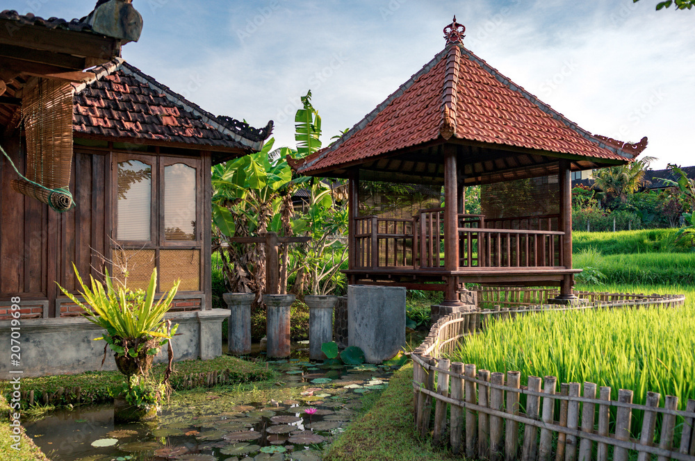 Gazebo in the garden