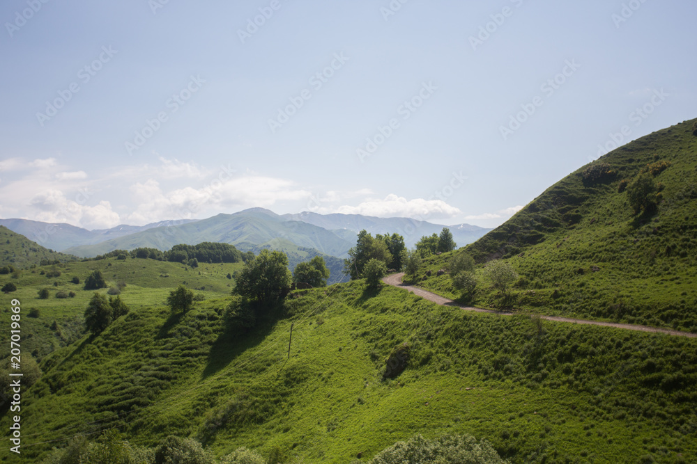 Naklejka premium Georgian nature