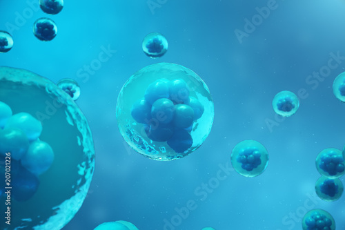 Wallpaper Mural 3D Rendering human or animal cells on blue background. Concept Early stage embryo Medicine scientific concept, Stem cell research and treatment. Torontodigital.ca