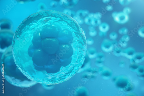 3D Rendering human or animal cells on blue background. Concept Early stage embryo Medicine scientific concept, Stem cell research and treatment. photo
