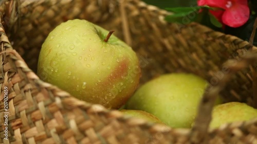 Basket with green apples photo