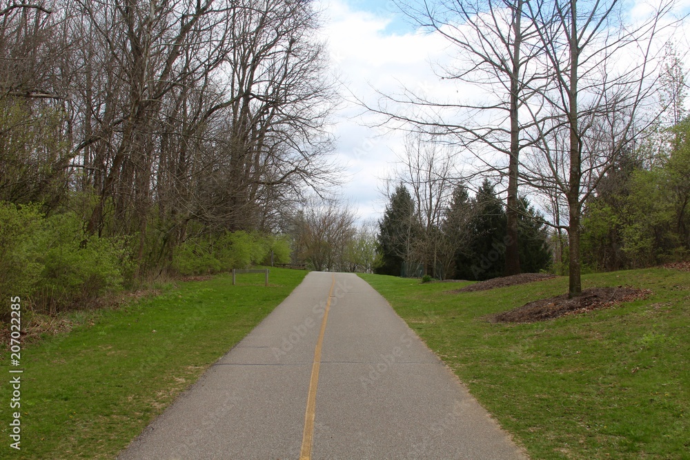 The long straight pathway in the park on a spring day.