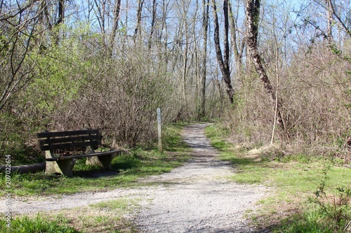 The nature hiking trail in the forest on a sunny day.