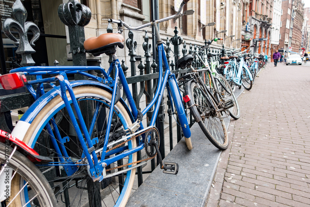 Bicycles abound in Amsterdam