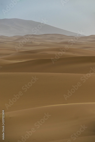 Merzouga desert © Fotonomada