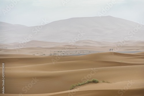 Merzouga desert