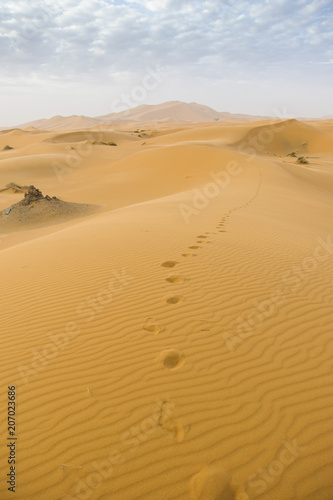 Merzouga desert