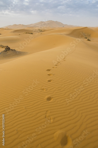 Merzouga desert