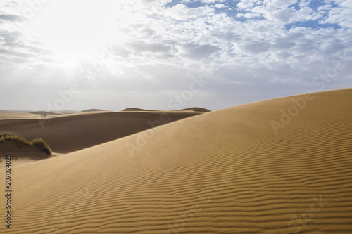 Merzouga desert © Fotonomada
