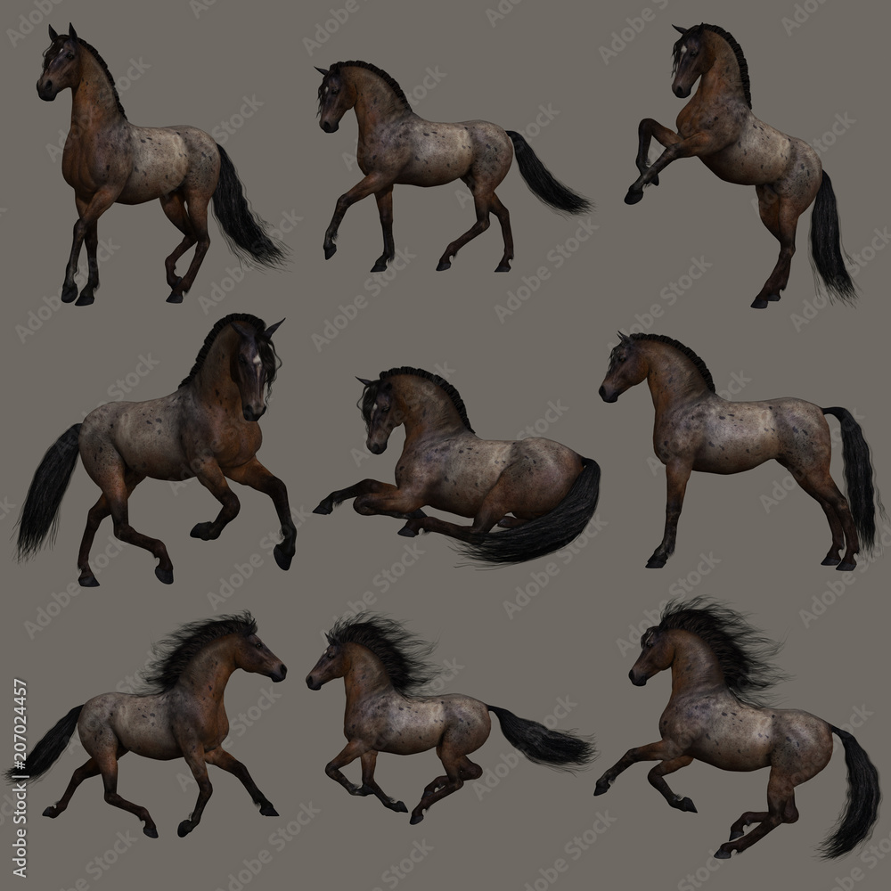 Hancock Roan Horse, 3d CG