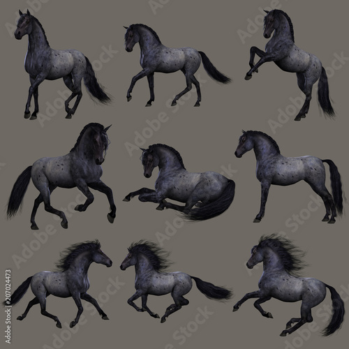 Blue Roan Horse, 3d CG photo