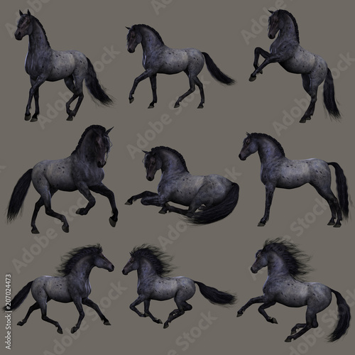 Tableau sur toile Blue Roan Horse, 3d CG