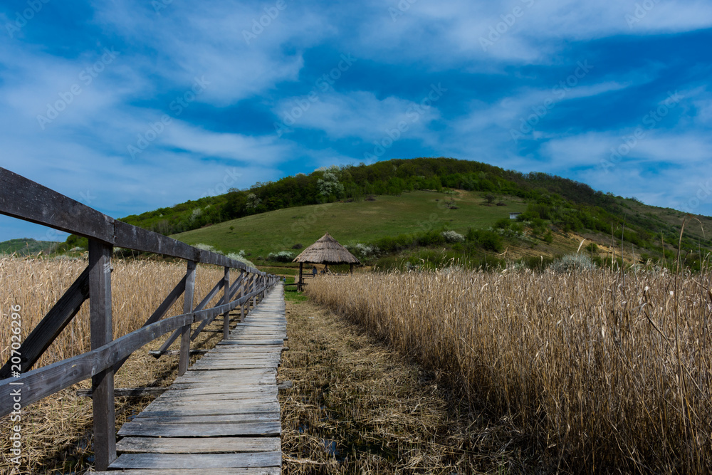 Path through reeds; Sic, Romania