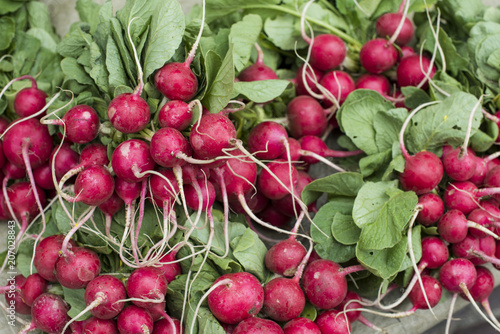 Radishes