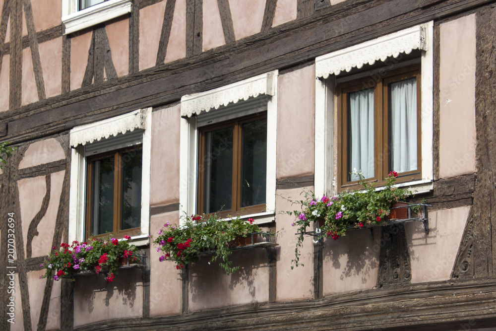 Window and flowers