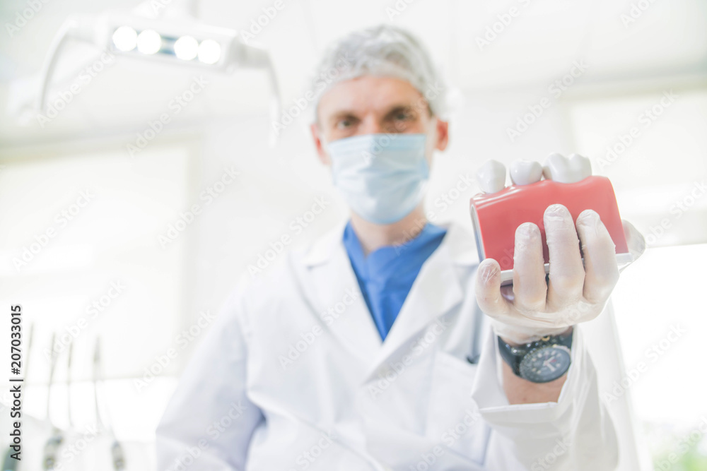 doctor dentist holds in his hand the layout of the teeth doctor dentist holds in his hand the layout of the teeth