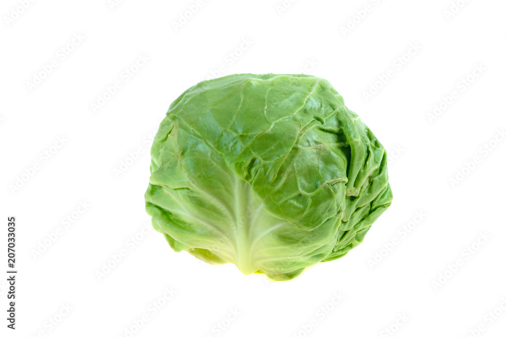 head of cabbage isolated on white background head of cabbage isolated on white background