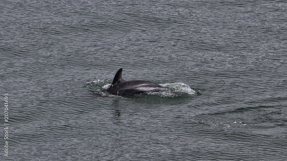 Fototapeta premium Chile