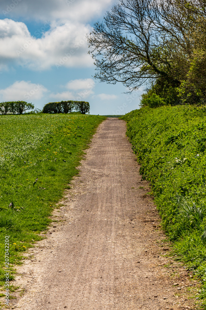 A Pathway through Fields