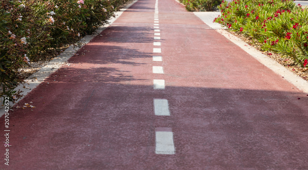 Obraz premium Bike lane, red asphalt path with white lines