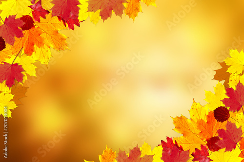 Sunny colorful fall season leaves decoration on blurry bokeh copy space background. Selective focus used.