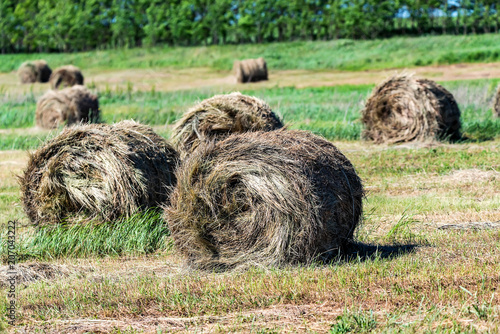 Haystacks on field in countryside photo