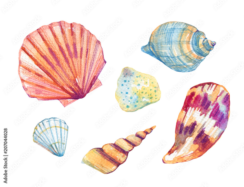 Sea shells watercolor hand drawn stylized illustration set Sea shells watercolor hand drawn stylized illustration set