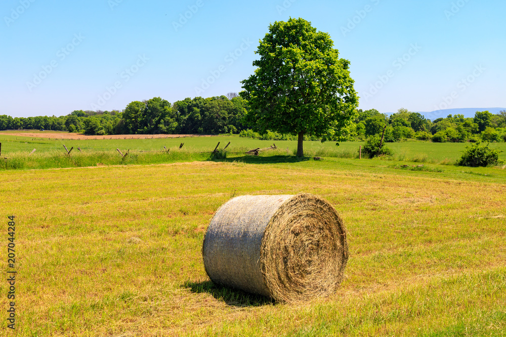 Round Hay Bale in Meadow