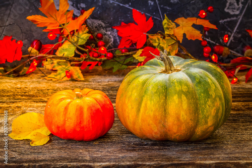 Fall harvest of pumpkins