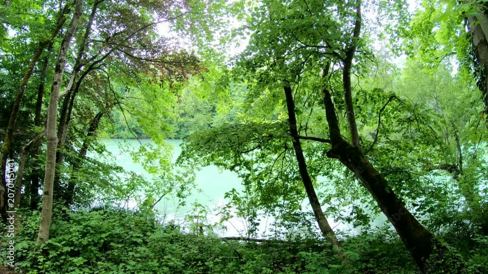 Auwald am Lech bei Landsberg, Naturbelassener Uferbewuchs, Auenlandschaft, Wildfluss, 4K Auwald am Lech bei Landsberg, Naturbelassener Uferbewuchs, Auenlandschaft, Wildfluss, 4K
