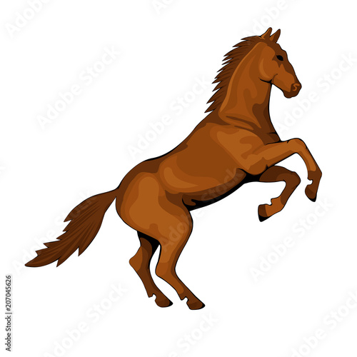 Isolated figure of a horse